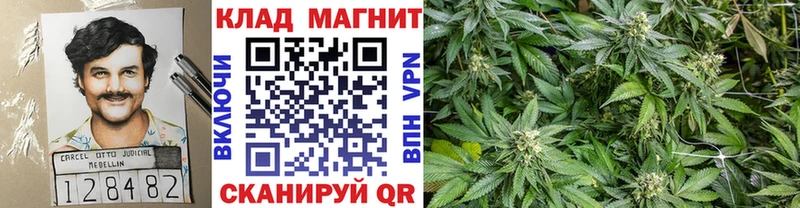 Где можно купить наркотики Михайлов Псилоцибиновые грибы  Меф  КОКАИН  ГАШ  Каннабис  АМФ 