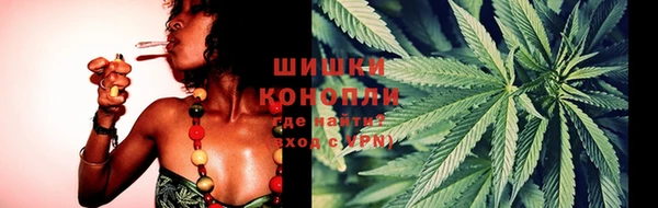 гашик Богданович