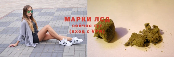 гашик Богданович