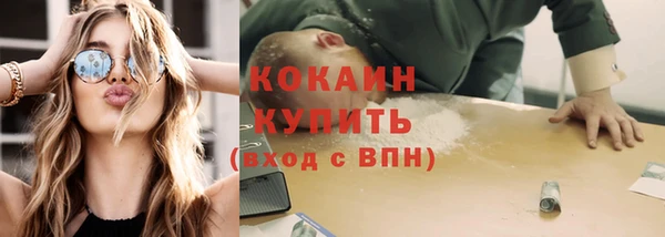 гашик Богданович