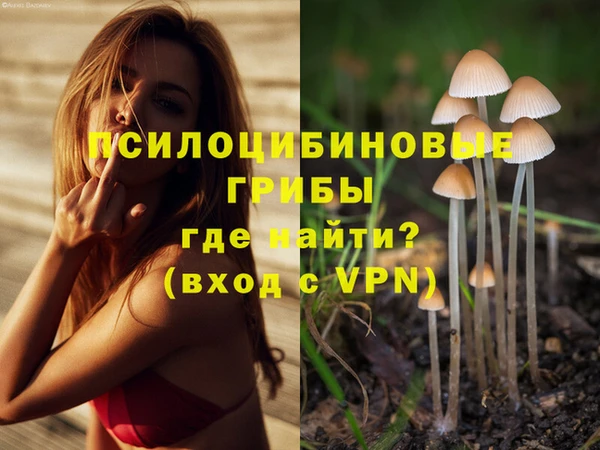 метадон Богородск