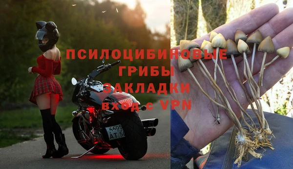 метадон Богородск