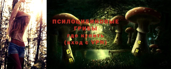 винт Богородицк