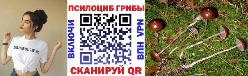 Галлюциногенные грибы GOLDEN TEACHER Михайлов